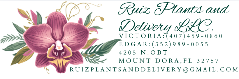 Ruiz Plants and Delivery LLC.